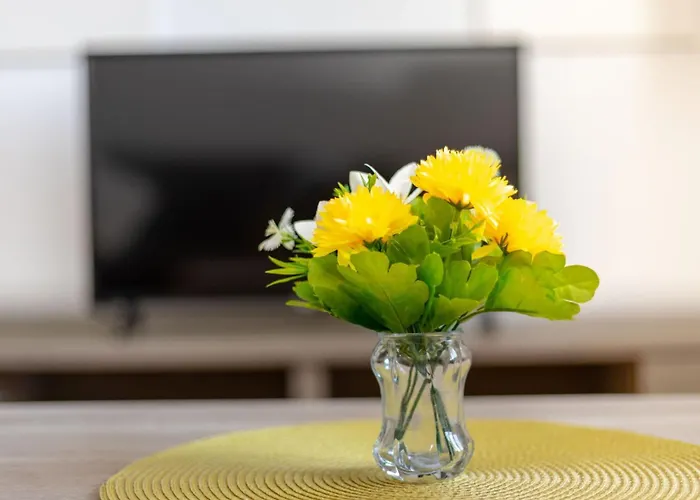 Maya Z Mit Blick Auf Wasser By Interhome * Rogoznica (Sibenik-Knin)
